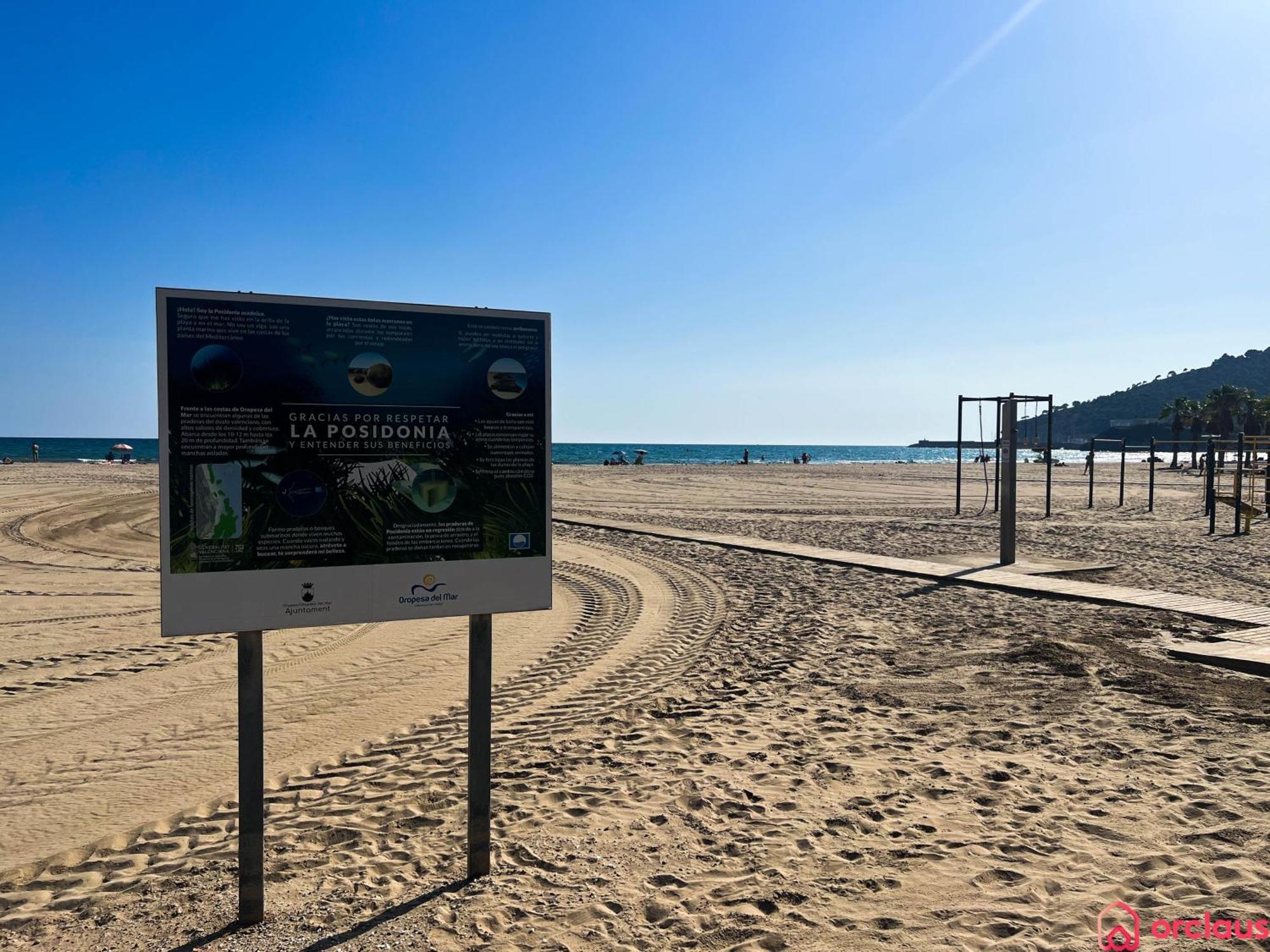 El Paraiso En Playa Concha Oropesa del Mar Eksteriør bilde
